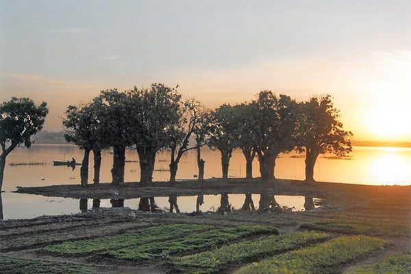 Biofarm in Togenda bei Abenddämmerung